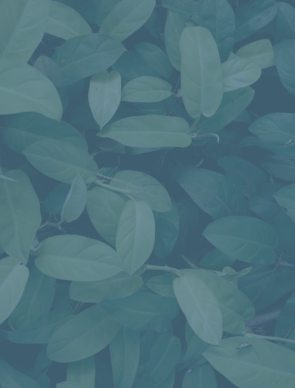 Европейское качество